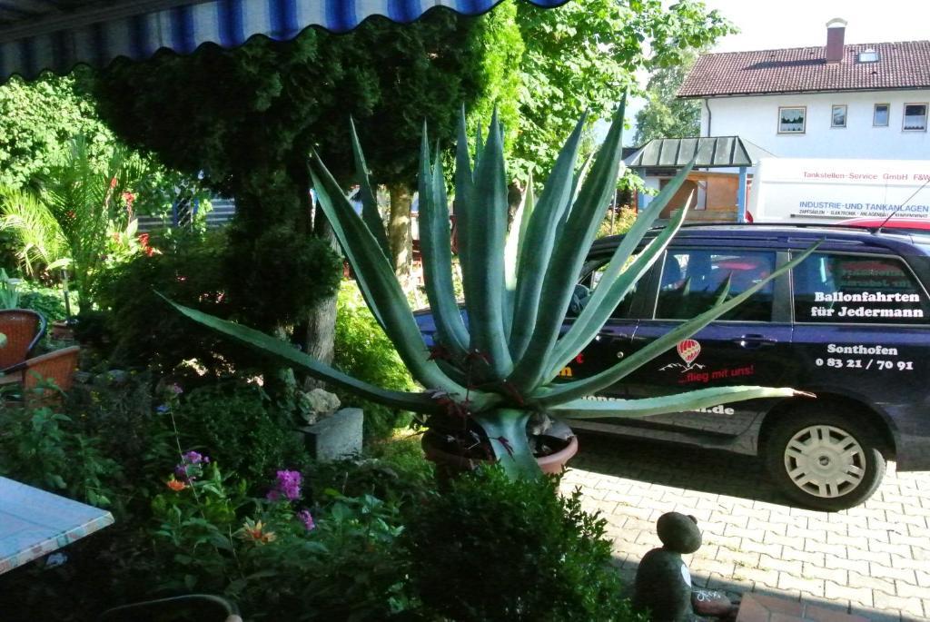 Landhotel Bauer 松托芬 外观 照片